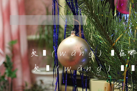 欠網(wǎng)貸在哪可以查是否被起訴(欠網(wǎng)貸會在哪里起訴)