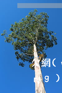 欠網(wǎng)貸坐不了火車(欠網(wǎng)貸會被限制坐火車飛機(jī)嗎)