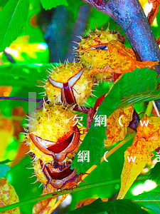 欠網(wǎng)貸坐牢了會連累家人嗎(欠網(wǎng)貸的人坐牢了怎么辦)