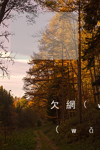 欠網(wǎng)貸坐牢了還用還錢嗎(欠網(wǎng)貸坐牢還要還錢不)