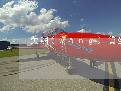 欠網(wǎng)貸坐牢出來后要還嗎