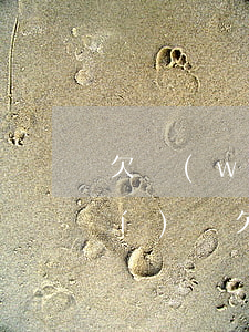 欠網(wǎng)貸坐牢大概多長時(shí)間(欠多少網(wǎng)貸才會(huì)坐牢)