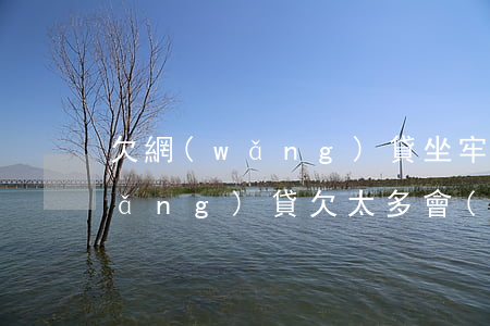 欠網(wǎng)貸坐牢算什么罪(欠網(wǎng)貸欠太多會(huì)坐牢嗎)