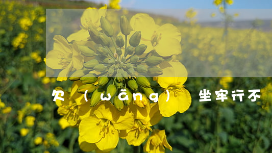 欠網(wǎng)貸坐牢行不