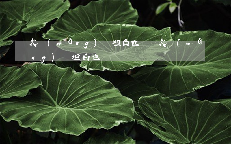 欠網(wǎng)貸坦白也沒錢(欠網(wǎng)貸坦白也沒錢)