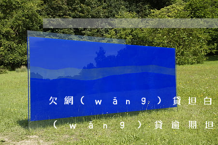 欠網(wǎng)貸坦白后每天被罵想死(網(wǎng)貸逾期坦白)