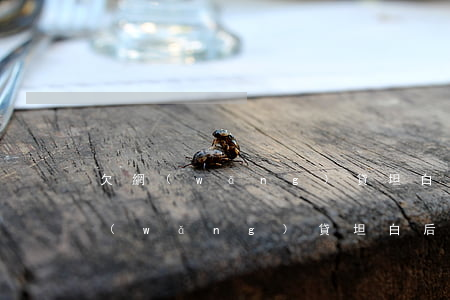 欠網(wǎng)貸坦白后爸爸叫我滾(欠網(wǎng)貸坦白后爸爸叫我滾)