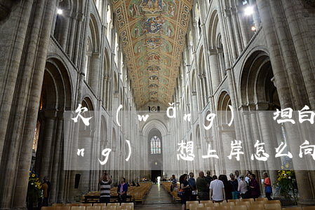 欠網(wǎng)貸坦白怎么上岸(網(wǎng)貸想上岸怎么向家人坦白)