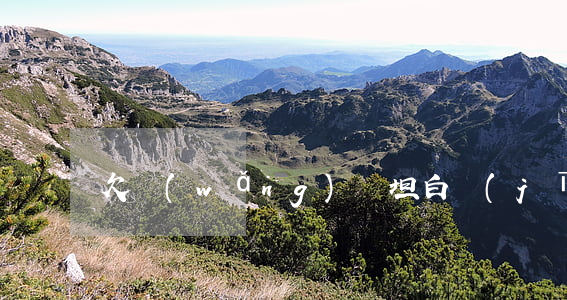 欠網(wǎng)貸坦白經(jīng)驗