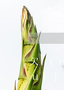 欠網(wǎng)貸報(bào)警會(huì)怎么樣(家人欠網(wǎng)貸什么情況可以報(bào)警)