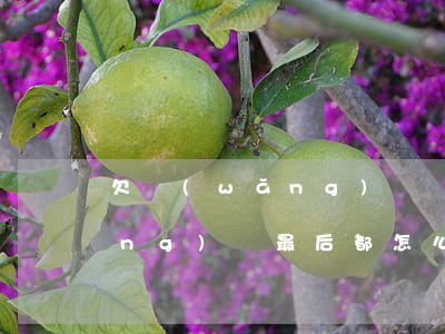 欠網(wǎng)貸墮落了(那些欠網(wǎng)貸最后都怎么樣了)