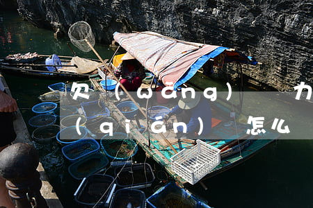 欠網(wǎng)貸壓力大沒(méi)錢(qián)還怎么辦(網(wǎng)貸欠錢(qián)太多還不了怎么辦)