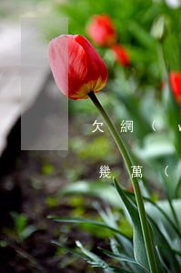 欠網(wǎng)貸壓力好大好想死了(欠了幾萬(wàn)的網(wǎng)貸壓力太大了,想死)