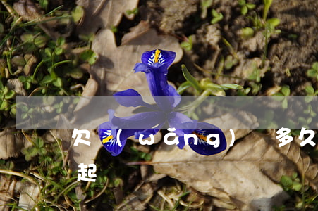 欠網(wǎng)貸多久不會(huì)被起訴