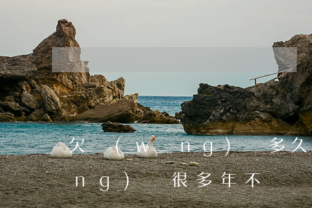 欠網(wǎng)貸多久不用還(欠網(wǎng)貸很多年不還)