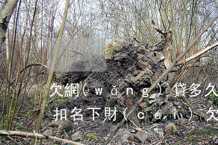 欠網(wǎng)貸多久不還會(huì)扣名下財(cái)(欠網(wǎng)貸錢會(huì)不會(huì)自動(dòng)扣款)