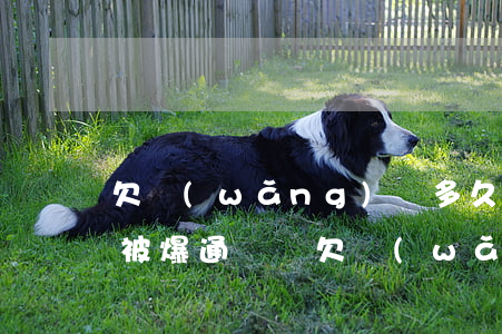 欠網(wǎng)貸多久不還會(huì)被爆通訊錄(欠網(wǎng)貸會(huì)不會(huì)爆通訊錄)