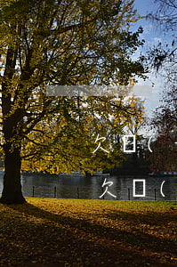 欠網(wǎng)貸多久不還警方可以介入(欠網(wǎng)貸不還警察會(huì)管嗎)