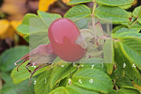欠網(wǎng)貸多久作廢(欠網(wǎng)貸多久作廢)