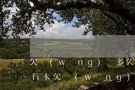 欠網(wǎng)貸多久凍結(jié)銀行卡(欠網(wǎng)貸會被凍結(jié)銀行卡嗎)