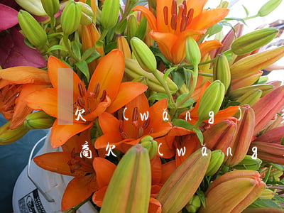 欠網(wǎng)貸多久可以協(xié)商(欠網(wǎng)貸怎么協(xié)商)