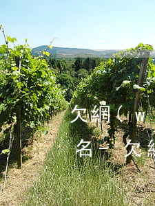 欠網(wǎng)貸多久多久會被列入失信名-欠網(wǎng)貸多久多久會被列入失信名單呢