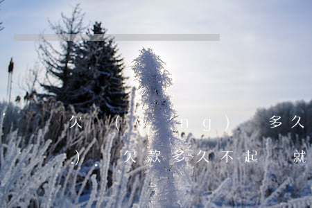 欠網(wǎng)貸多久失效(網(wǎng)貸欠款多久不起訴就失效了)