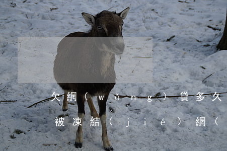 欠網(wǎng)貸多久微信會(huì)被凍結(jié)(網(wǎng)貸欠款會(huì)凍結(jié)微信嗎)