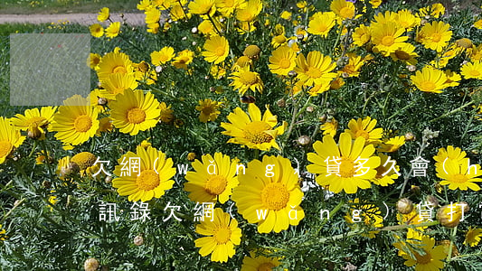 欠網(wǎng)貸多久會(huì)打通訊錄(欠網(wǎng)貸打電話通訊錄怎么辦)