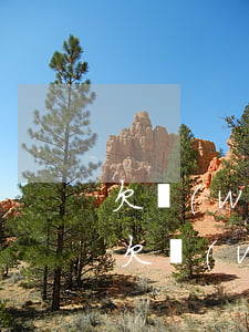 欠網(wǎng)貸多久會到戶口所在地抓(欠網(wǎng)貸會被派出所立案嗎?)