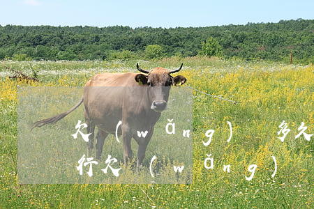 欠網(wǎng)貸多久會被執(zhí)行(欠網(wǎng)貸被起訴多久強(qiáng)制執(zhí)行)