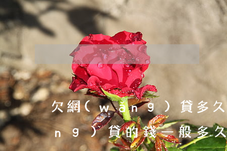 欠網(wǎng)貸多久被起訴(欠網(wǎng)貸的錢一般多久會(huì)被起訴)
