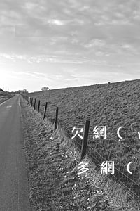 欠網(wǎng)貸多了打兩份工(欠了兩萬多網(wǎng)貸算多嗎)