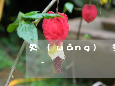 欠網(wǎng)貸多家30多萬跑路會怎樣-