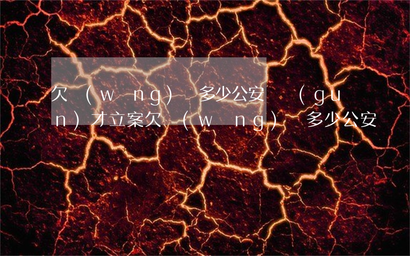 欠網(wǎng)貸多少公安機關(guān)才立案(欠網(wǎng)貸多少公安機關(guān)才立案)