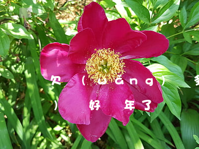 欠網(wǎng)貸多少天(欠網(wǎng)貸好幾年了)