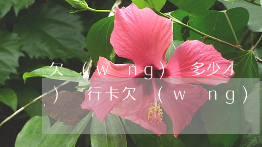 欠網(wǎng)貸多少才會凍結(jié)銀行卡(欠網(wǎng)貸幾千塊會凍結(jié)銀行卡嗎)