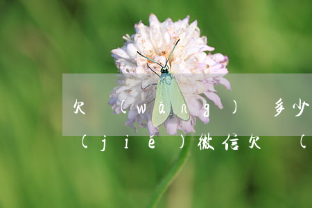 欠網(wǎng)貸多少會(huì)凍結(jié)微信(欠網(wǎng)貸錢(qián)會(huì)凍結(jié)微信嗎)