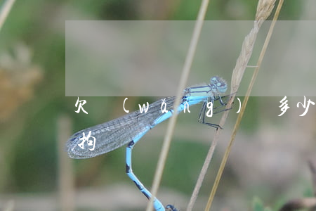 欠網(wǎng)貸多少會(huì)被刑拘