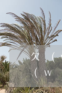 欠網(wǎng)貸多少會坐不了地鐵(欠網(wǎng)貸不還能坐火車嗎)