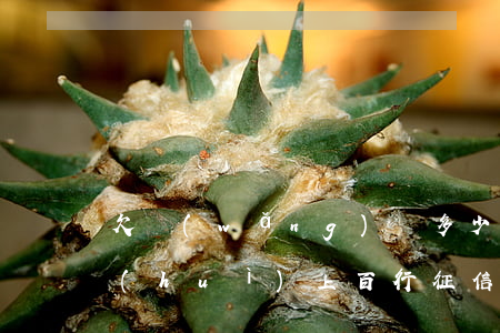 欠網(wǎng)貸多少錢(qián)會(huì)上百行征信呢(欠網(wǎng)貸多少錢(qián)會(huì)上百行征信呢)