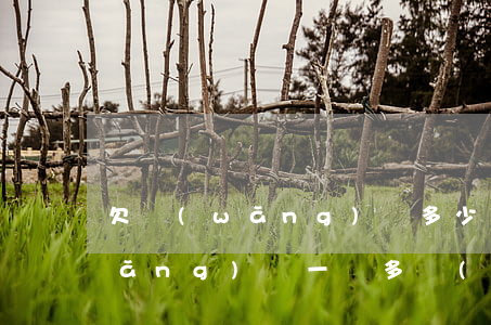 欠網(wǎng)貸多少錢上門催收(網(wǎng)貸一萬多會(huì)上門催收嗎)