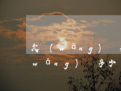 欠網(wǎng)貸多少錢可以上訴(欠網(wǎng)貸多少錢可以起訴)