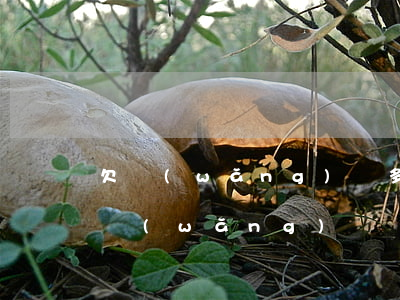 欠網(wǎng)貸多少錢可以成為老賴(欠網(wǎng)貸會(huì)不會(huì)成老賴)