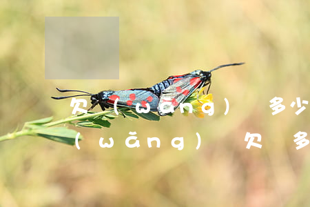 欠網(wǎng)貸多少錢可以立案標準(網(wǎng)貸欠錢多少可以立案起訴)