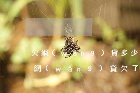欠網(wǎng)貸多少錢怎么查詢(怎么查網(wǎng)貸欠了多少錢)