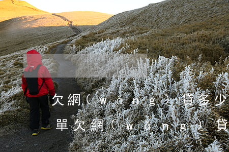 欠網(wǎng)貸多少錢才能列入失信名單(欠網(wǎng)貸多久不還會列入失信黑名單)