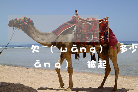 欠網(wǎng)貸多少錢才起訴(欠網(wǎng)貸被起訴訴訟費多少錢)