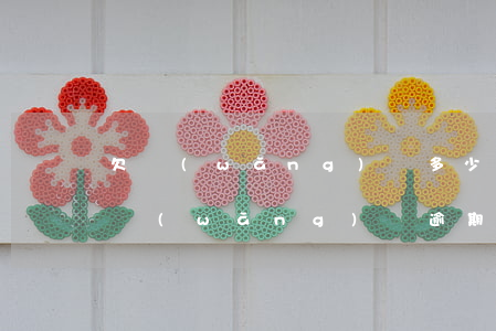 欠網(wǎng)貸多少錢會列入失信名單(網(wǎng)貸逾期多少會被列入失信人名單)