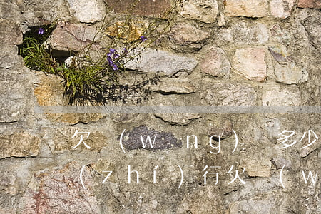 欠網(wǎng)貸多少錢會被法院強制執(zhí)行(欠網(wǎng)貸法院會強制執(zhí)行嗎)